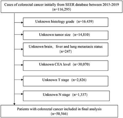 Predictive models based on machine learning for bone metastasis in patients with diagnosed colorectal cancer